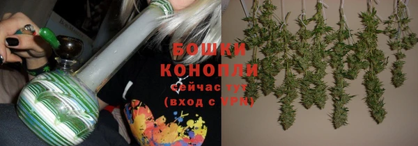 дмт Мегион