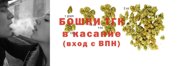 дмт Мегион