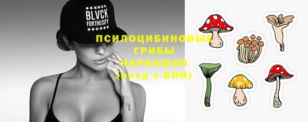 дмт Мегион