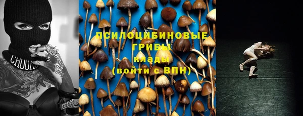 дмт Мегион