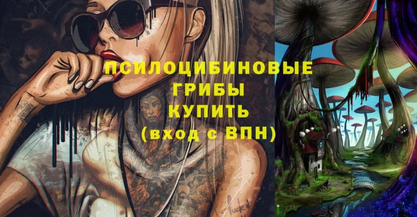дурь Медногорск