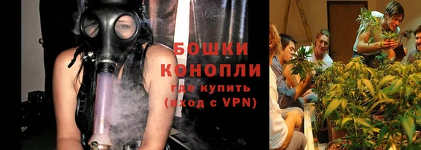 дмт Мегион