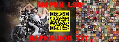 сатива Гай