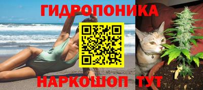 сатива Гай