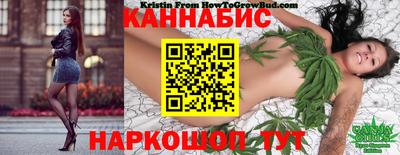 сатива Гай