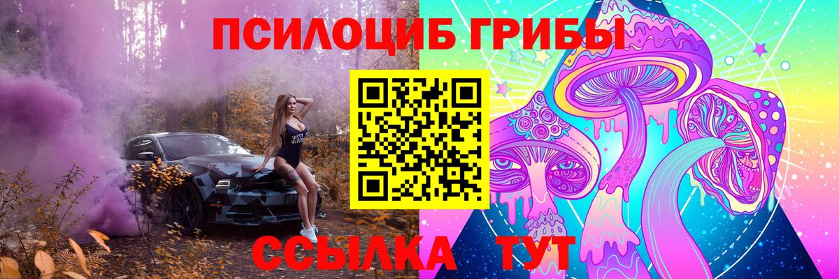 Псилоцибиновые грибы MAGIC MUSHROOMS  Вход с VPN  Галлюциногенные грибы Psilocybine cubensis  наркота  Ангарск 